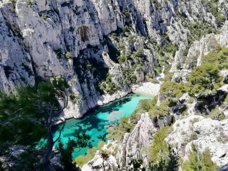 Studio Calanques Pres Du Vieux Port Marseille Ngoại thất bức ảnh